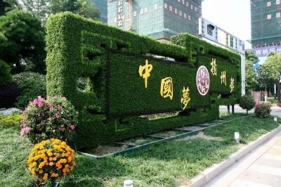 匠心定制，厂价直供 四川绿维文旅打造城市景观绿雕与花海艺术精品