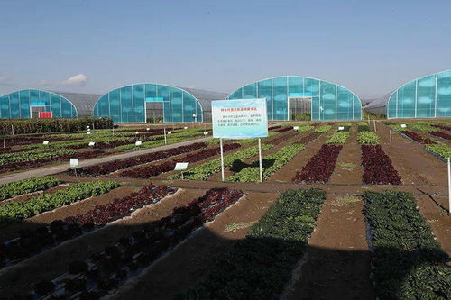 绿维文旅视角 自治区政协委员调研固原市多元产业高质量发展新路径