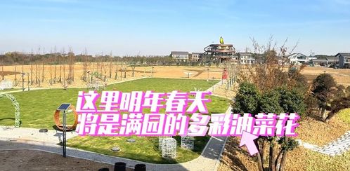 绿维文旅 解锁农旅跨界融合，省委书记到我家